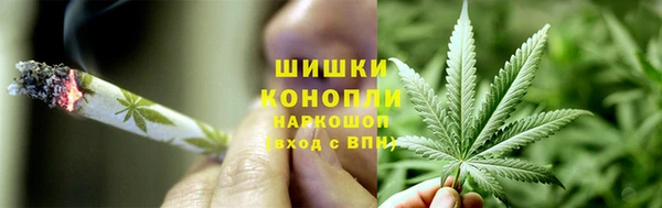 твердый Алзамай