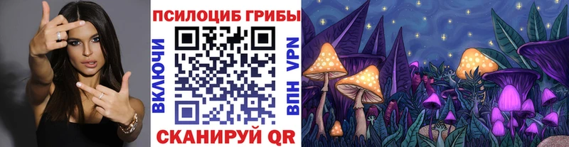 Галлюциногенные грибы Cubensis  Алапаевск 